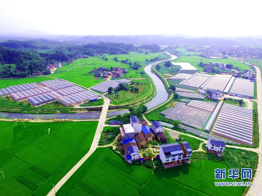 习近平的文化足迹：薪火相传的创意之旅
